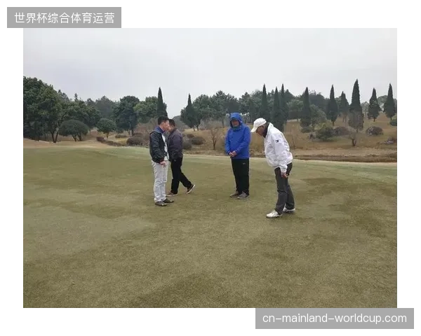体育赞助权益正在从单纯的Logo露出转向实时交互深度整合